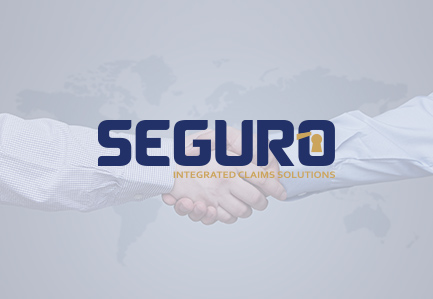 Seguro Claims